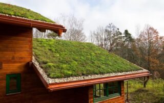 Telhados Verdes - Vantagens e como Implementar em sua Casa